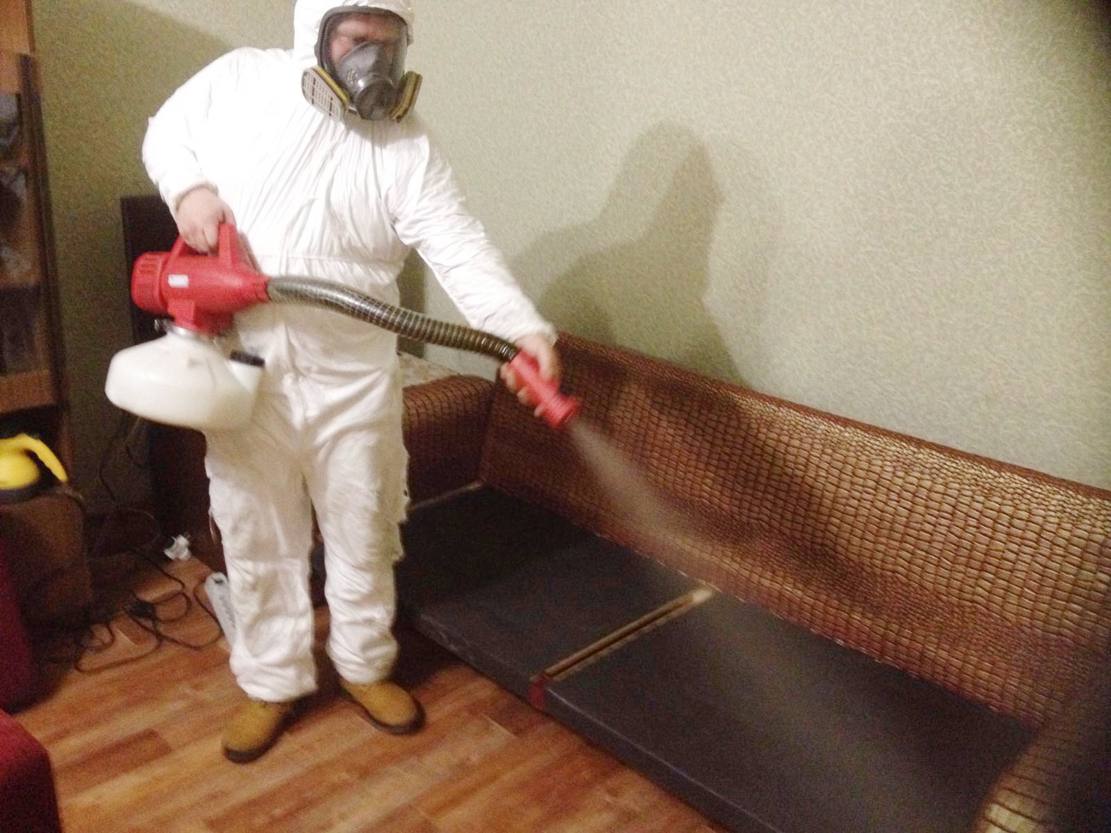 Борьба с Тараканами без Запаха: Способы Уничтожения